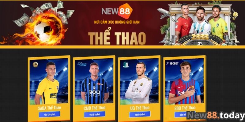 the thao new88 sanh cuoc the thao khien cuoc thu me man 4712 1
